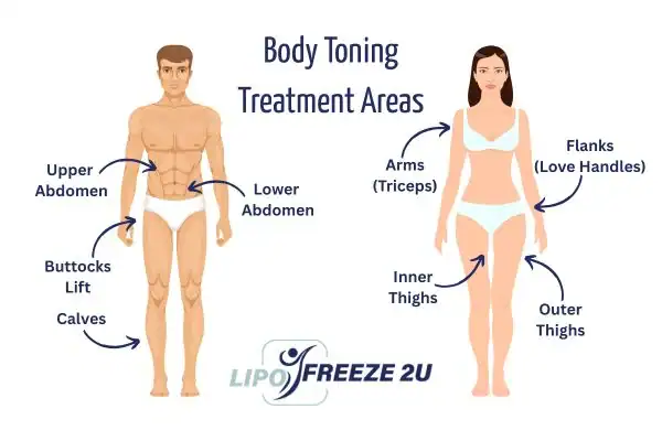 Graphic showing where you can have Body toning Treatment Surrey on your body